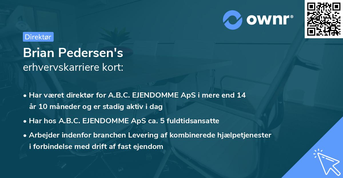 Brian Pedersen's erhvervskarriere kort
