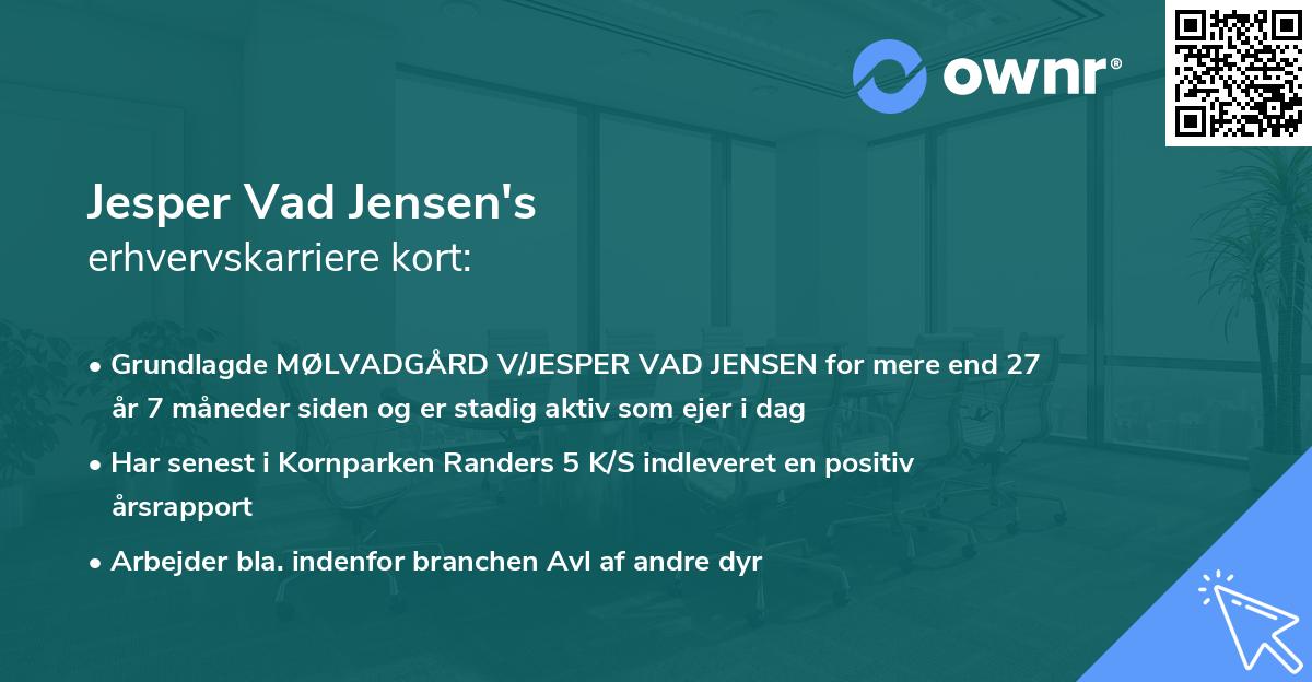 Jesper Vad Jensen's erhvervskarriere kort