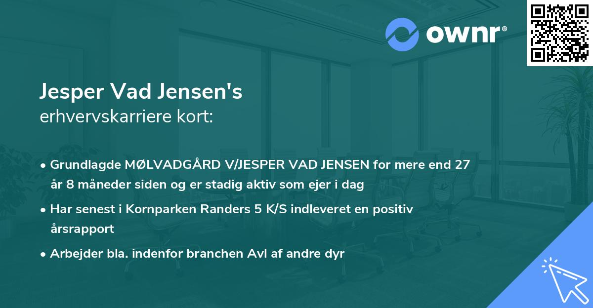 Jesper Vad Jensen's erhvervskarriere kort