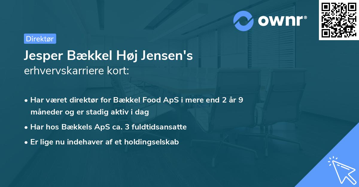 Jesper Bækkel Høj Jensen's erhvervskarriere kort