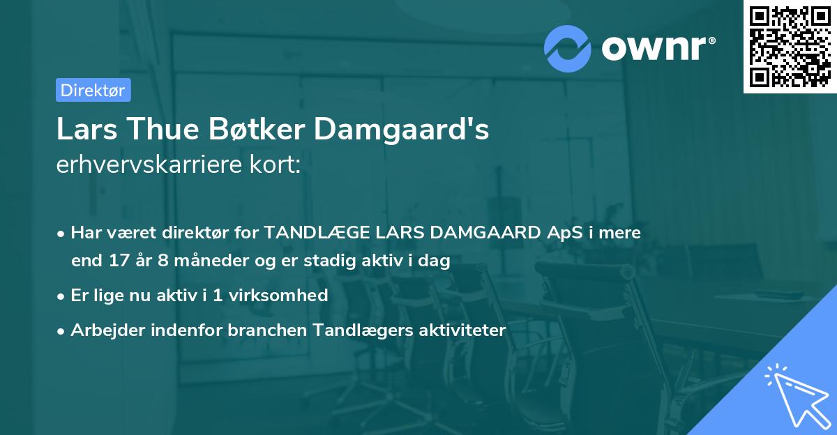 Lars Thue Bøtker Damgaard's erhvervskarriere kort