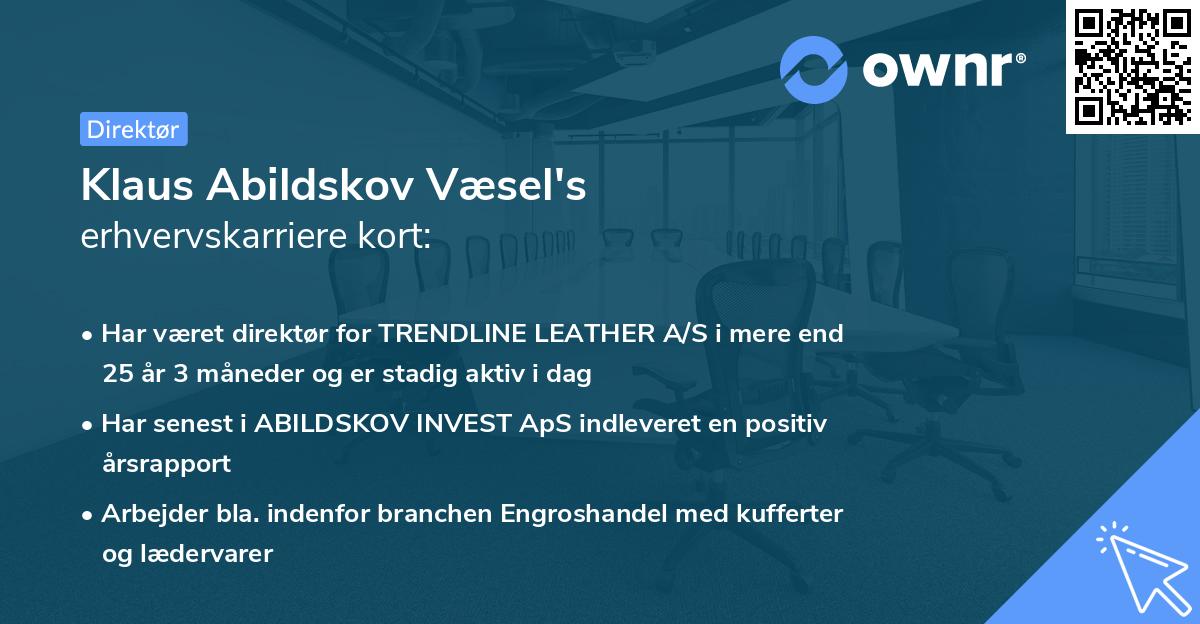 Klaus Abildskov Væsel's erhvervskarriere kort