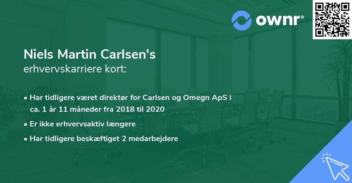 Niels Martin Carlsen's erhvervskarriere kort