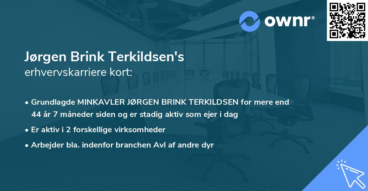 Jørgen Brink Terkildsen's erhvervskarriere kort