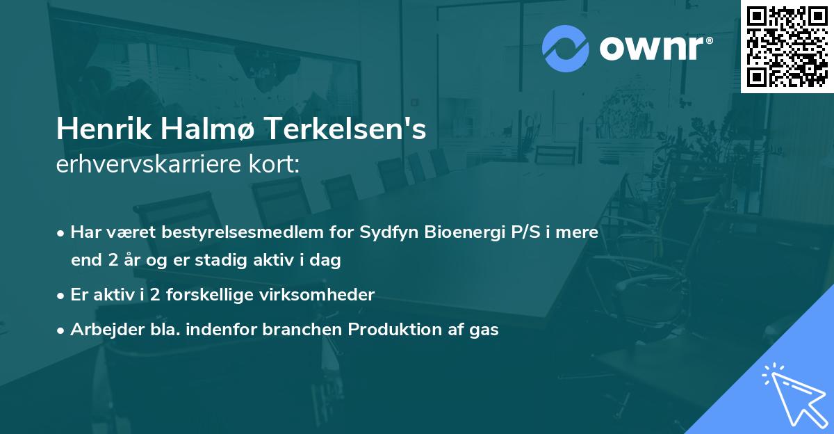 Henrik Halmø Terkelsen's erhvervskarriere kort