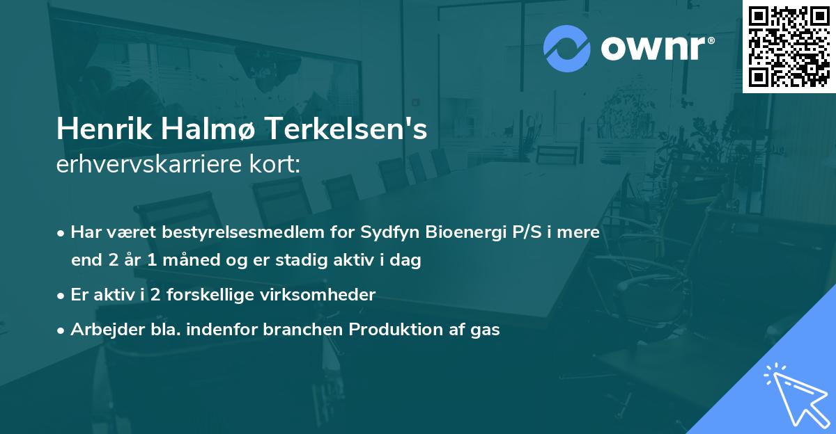 Henrik Halmø Terkelsen's erhvervskarriere kort