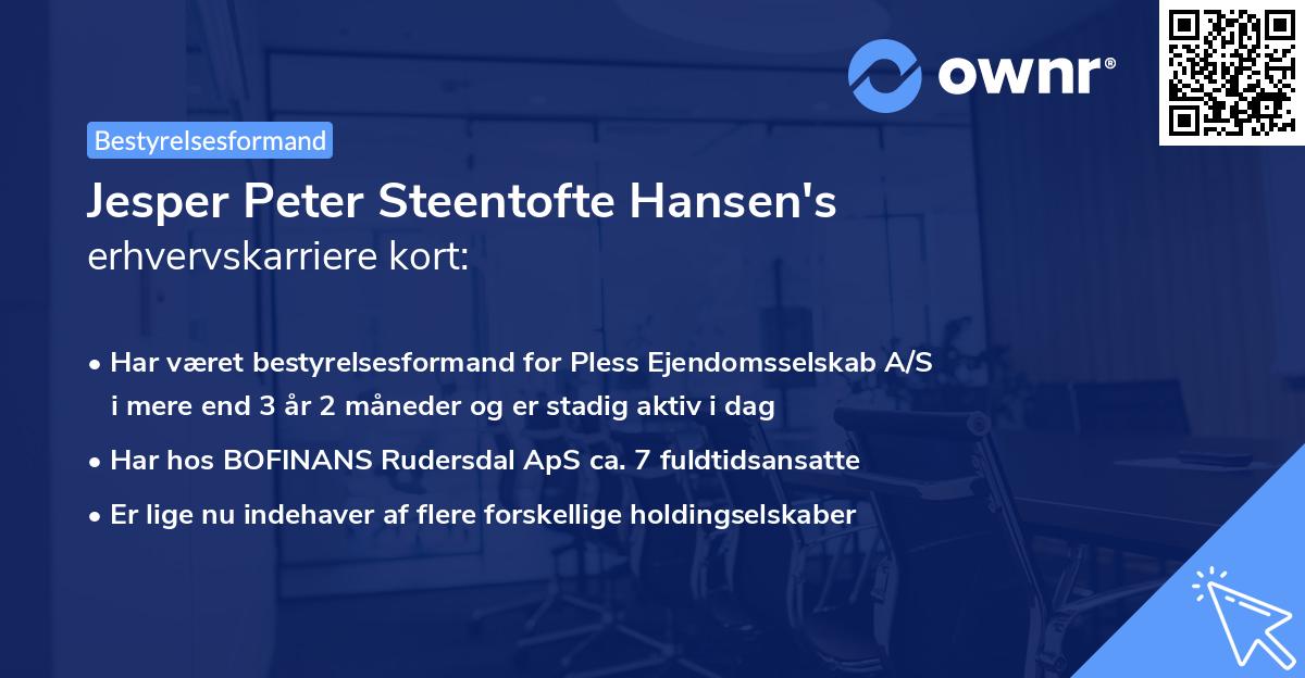 Jesper Peter Steentofte Hansen's erhvervskarriere kort