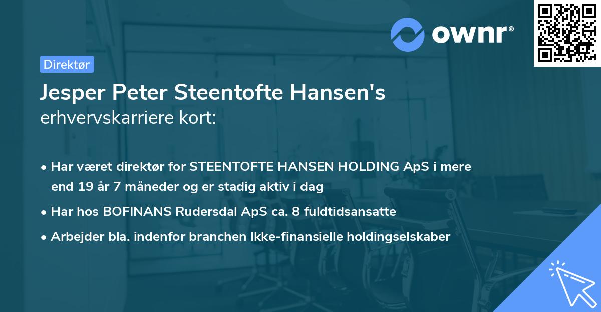 Jesper Peter Steentofte Hansen's erhvervskarriere kort
