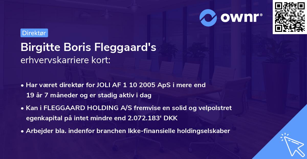 Birgitte Boris Fleggaard's erhvervskarriere kort