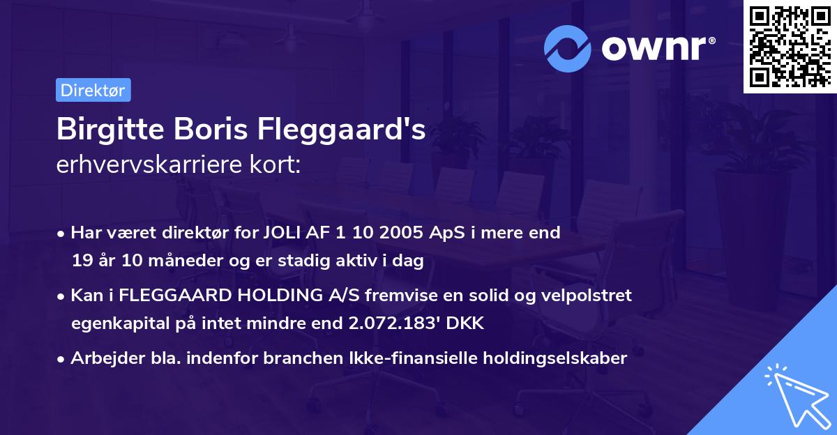 Birgitte Boris Fleggaard's erhvervskarriere kort