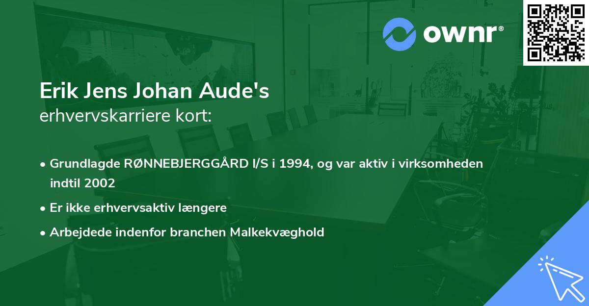 Erik Jens Johan Aude's erhvervskarriere kort