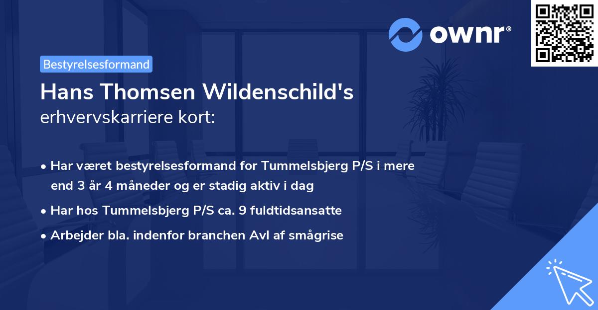 Hans Thomsen Wildenschild's erhvervskarriere kort