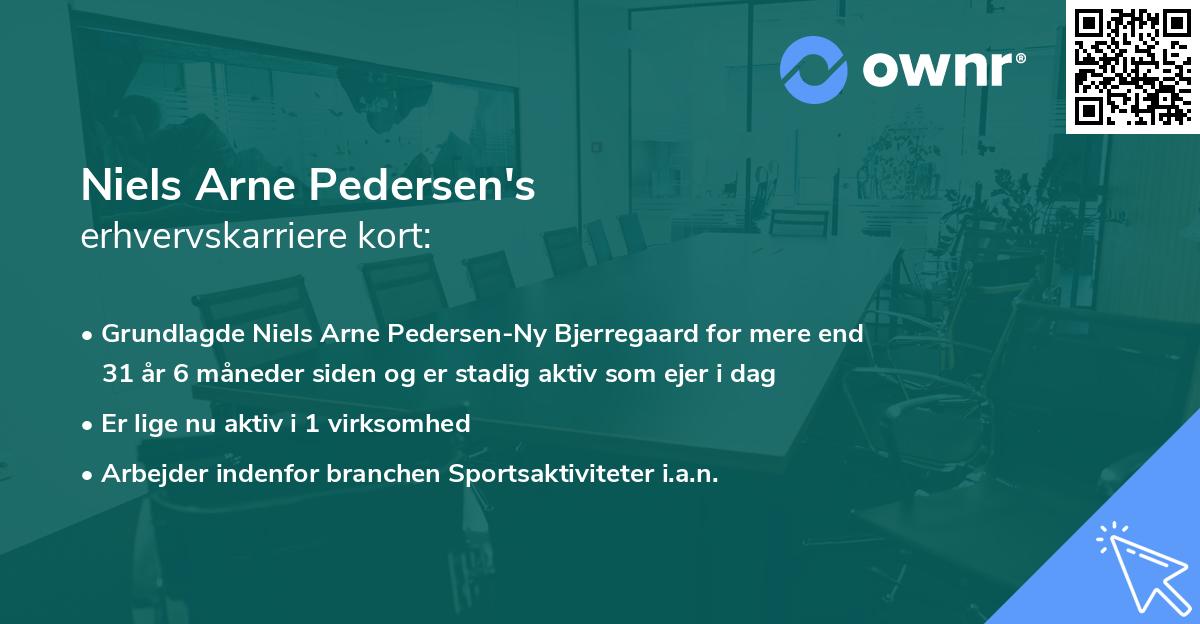 Niels Arne Pedersen's erhvervskarriere kort