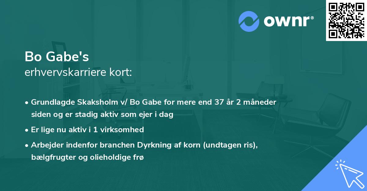 Bo Gabe's erhvervskarriere kort