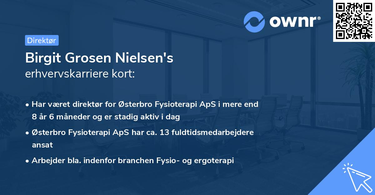 Birgit Grosen Nielsen's erhvervskarriere kort