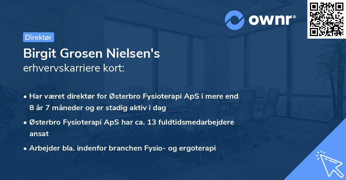 Birgit Grosen Nielsen's erhvervskarriere kort