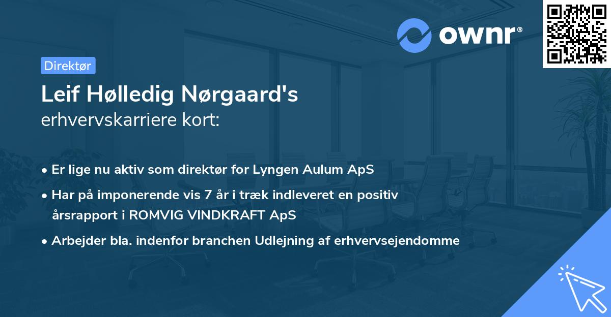 Leif Hølledig Nørgaard's erhvervskarriere kort