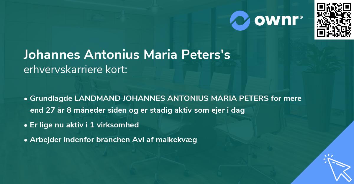 Johannes Antonius Maria Peters's erhvervskarriere kort