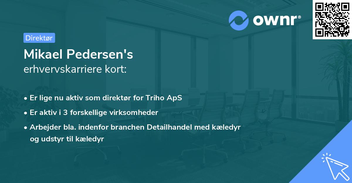 Mikael Pedersen's erhvervskarriere kort