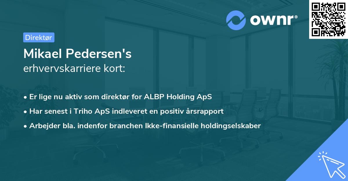 Mikael Pedersen's erhvervskarriere kort