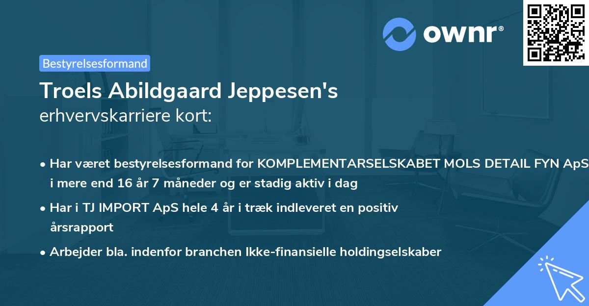 Troels Abildgaard Jeppesen's erhvervskarriere kort