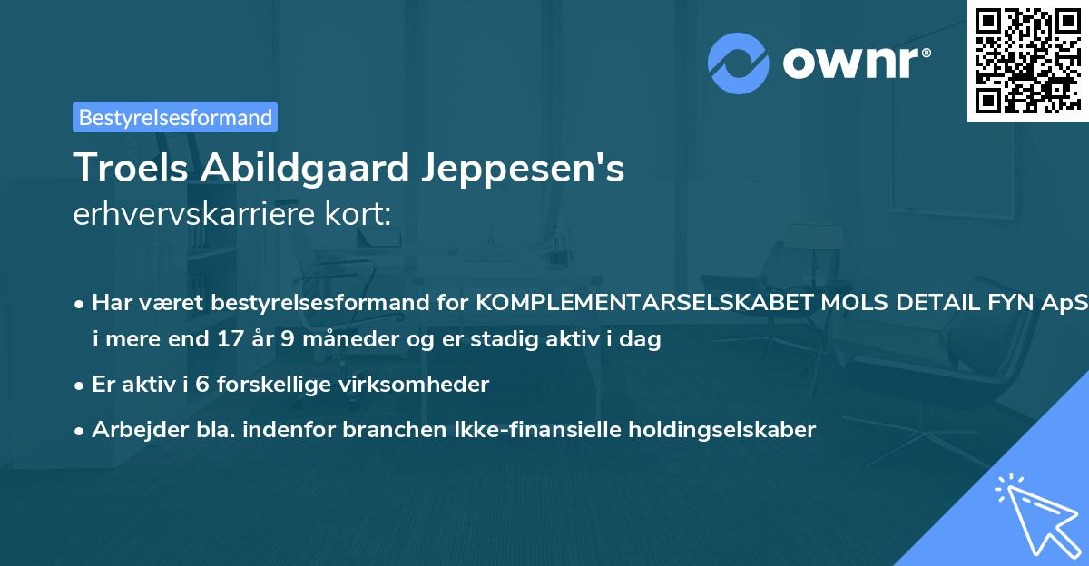 Troels Abildgaard Jeppesen's erhvervskarriere kort