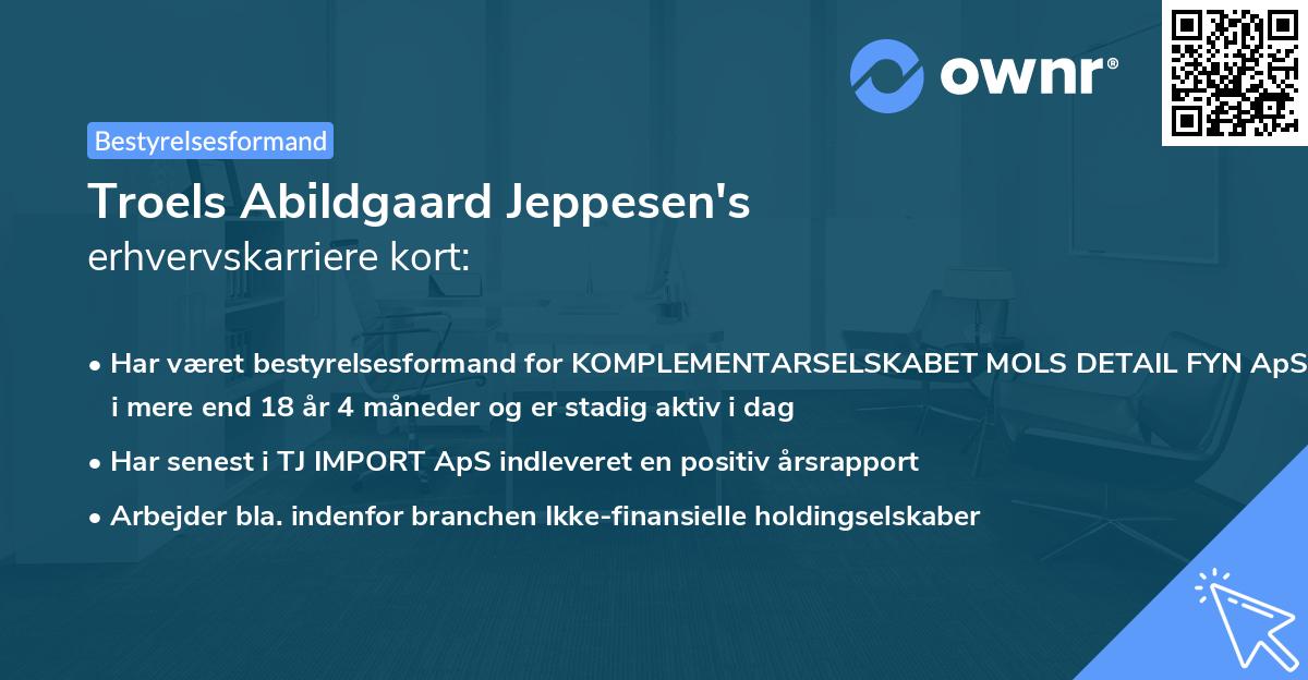 Troels Abildgaard Jeppesen's erhvervskarriere kort