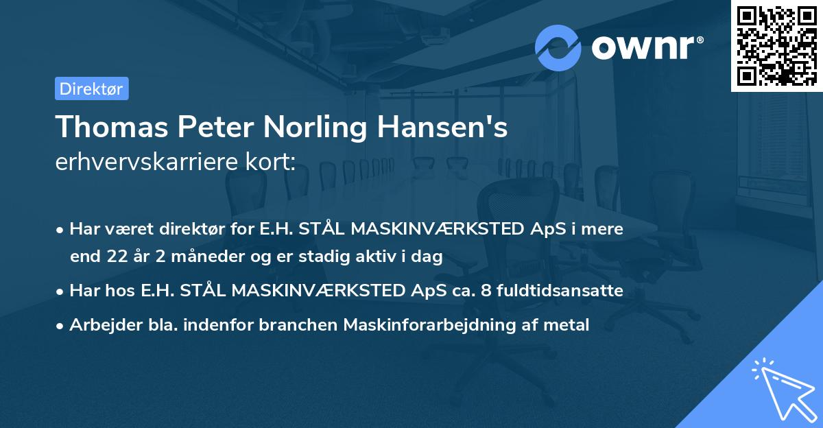 Thomas Peter Norling Hansen's erhvervskarriere kort