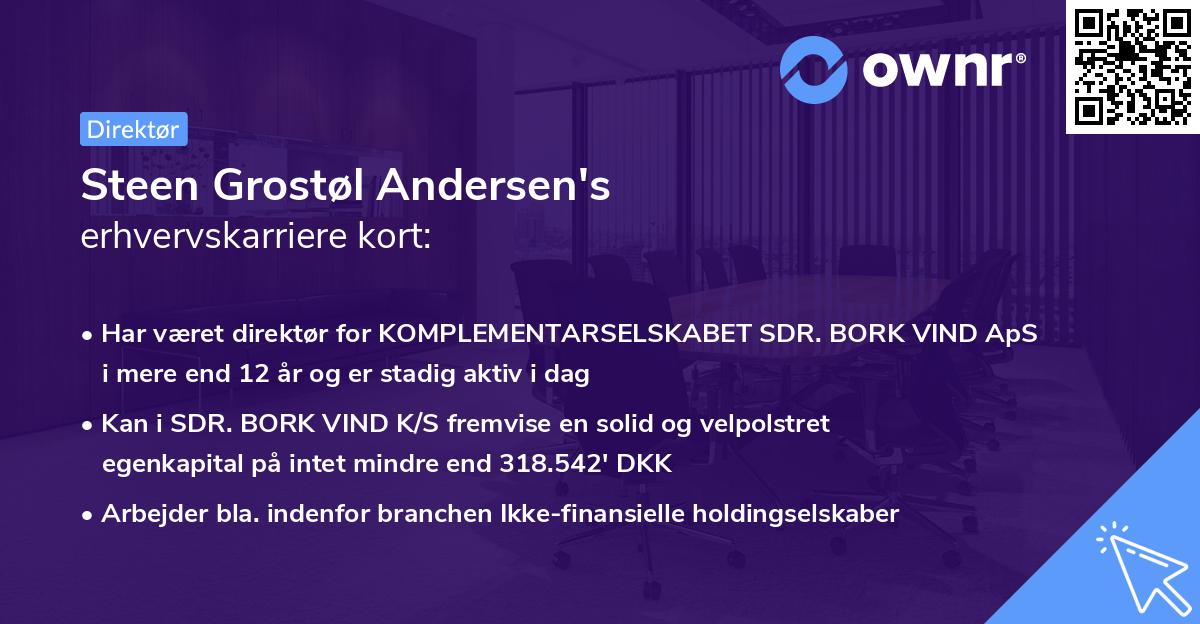 Steen Grostøl Andersen's erhvervskarriere kort