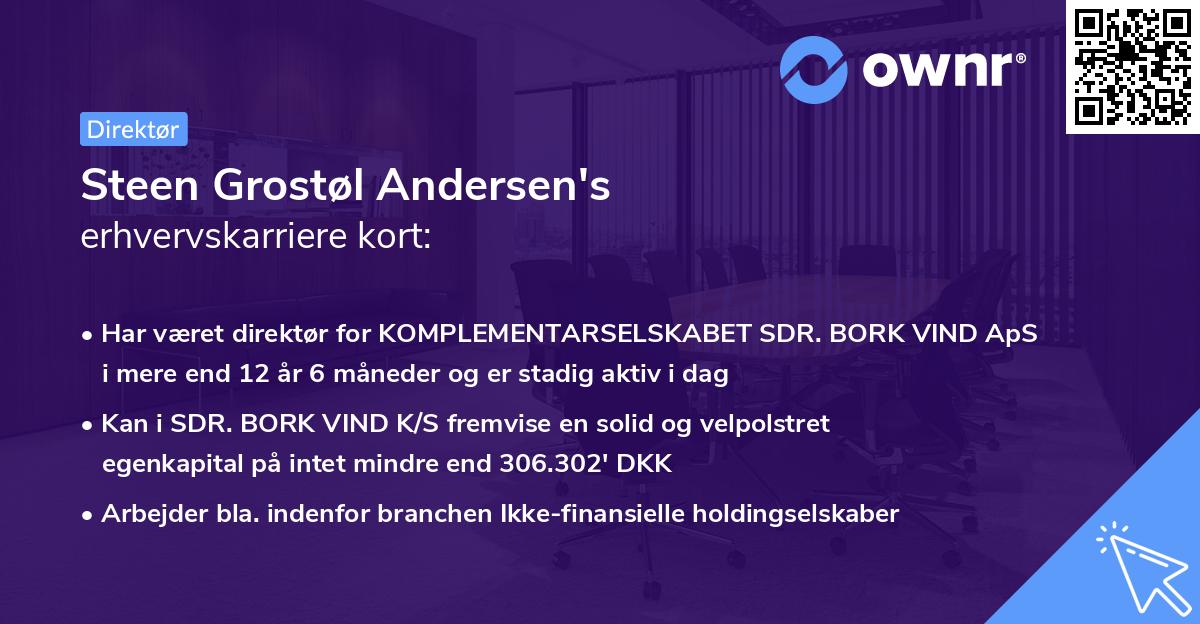 Steen Grostøl Andersen's erhvervskarriere kort