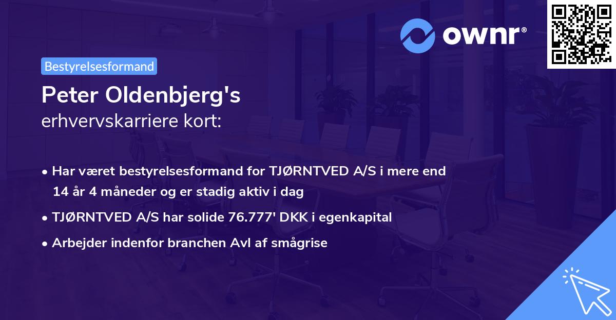 Peter Oldenbjerg's erhvervskarriere kort