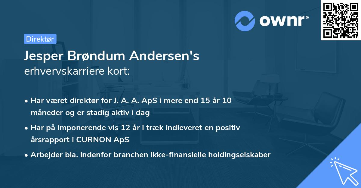 Jesper Brøndum Andersen's erhvervskarriere kort