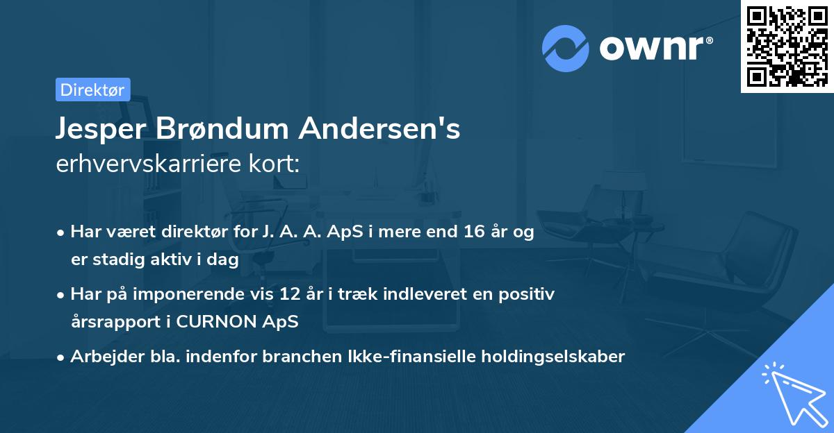 Jesper Brøndum Andersen's erhvervskarriere kort