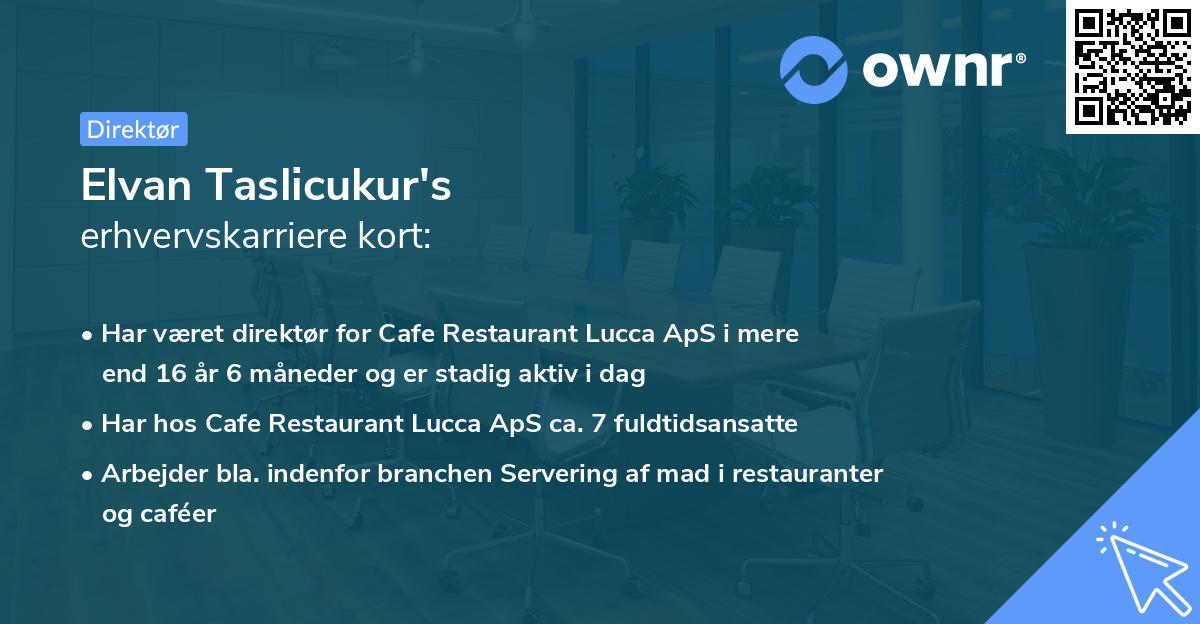 Elvan Taslicukur's erhvervskarriere kort