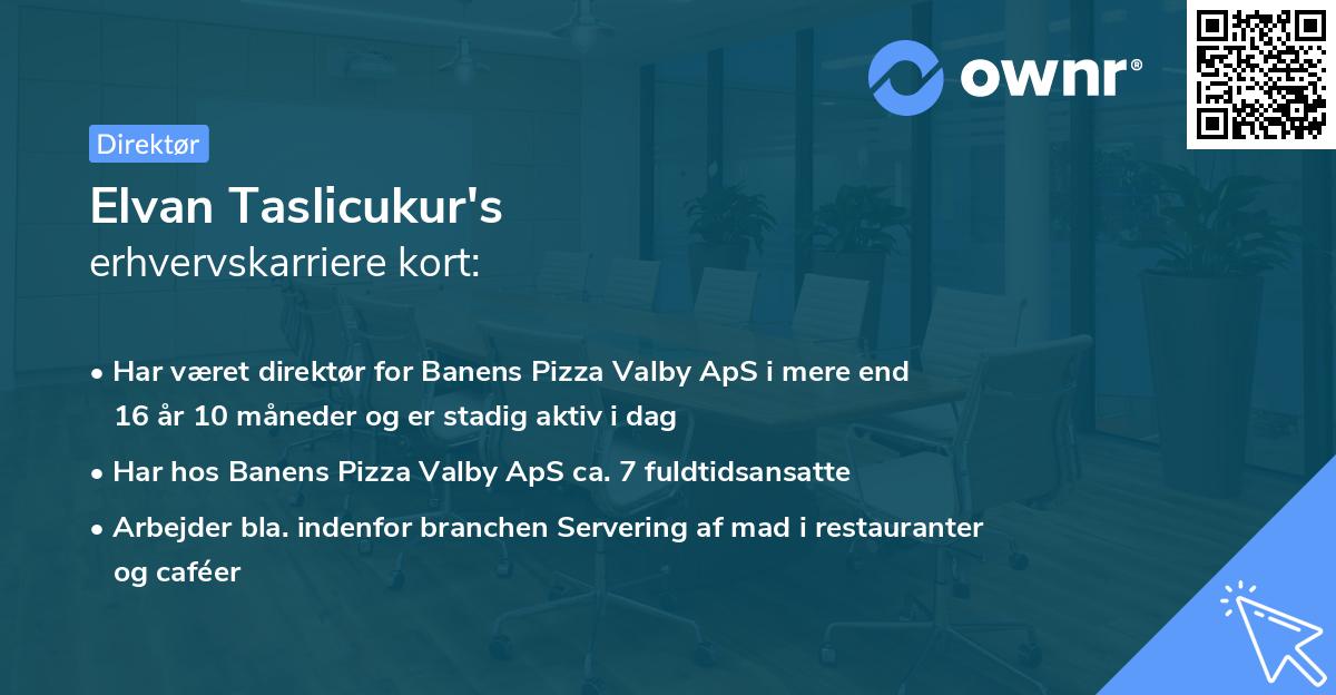 Elvan Taslicukur's erhvervskarriere kort