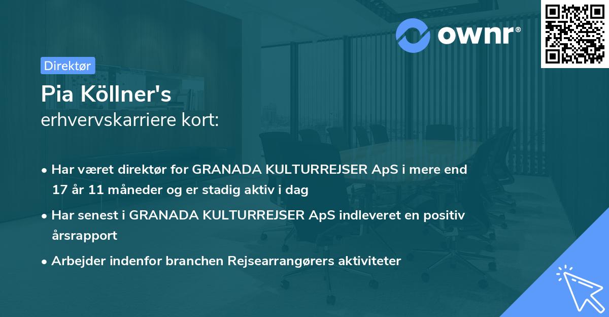 Pia Köllner's erhvervskarriere kort