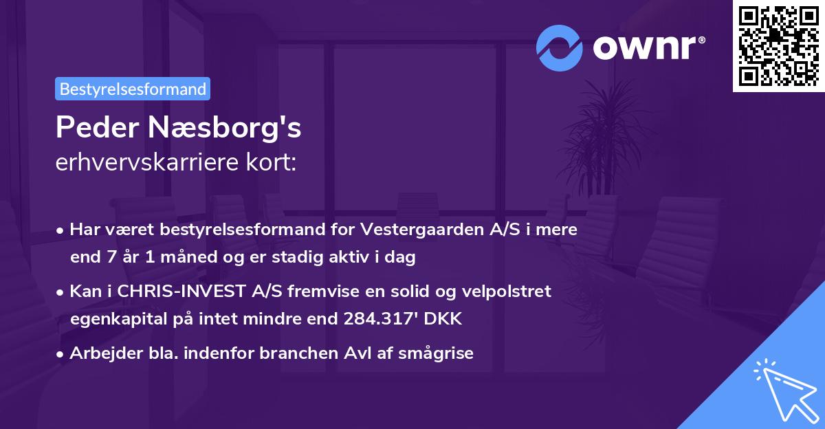 Peder Næsborg's erhvervskarriere kort