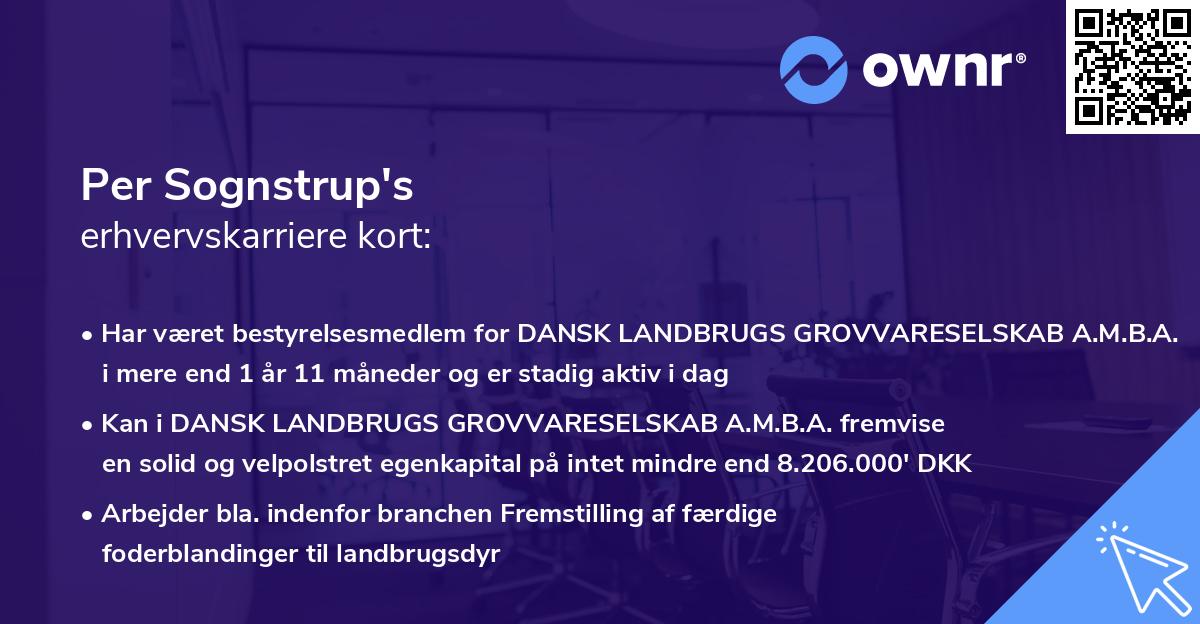 Per Sognstrup's erhvervskarriere kort