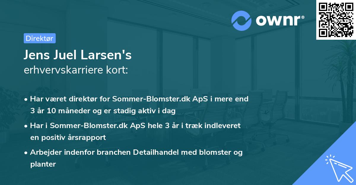 Jens Juel Larsen's erhvervskarriere kort