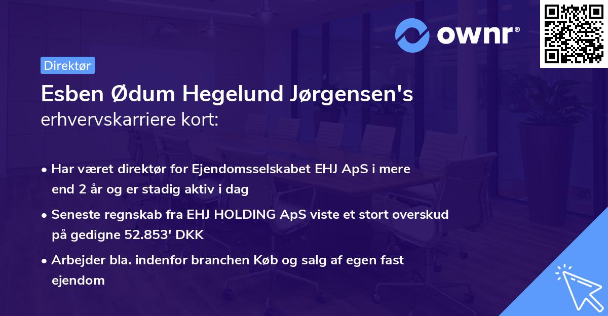 Esben Ødum Hegelund Jørgensen's erhvervskarriere kort
