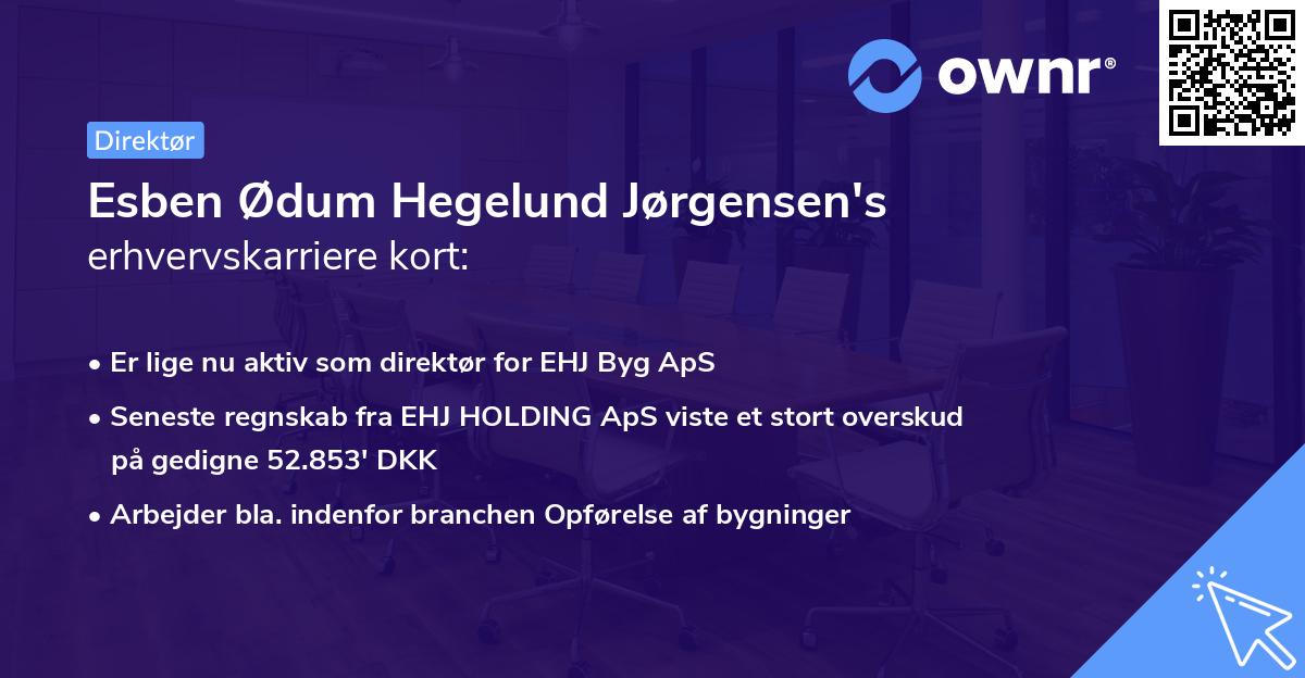 Esben Ødum Hegelund Jørgensen's erhvervskarriere kort