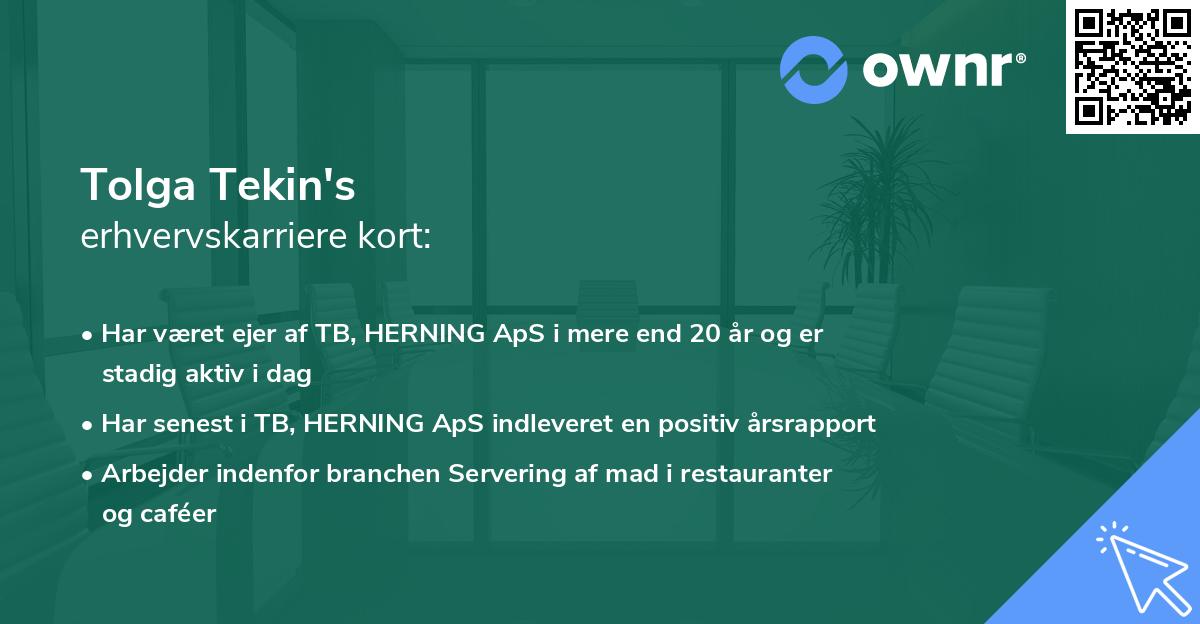 Tolga Tekin's erhvervskarriere kort