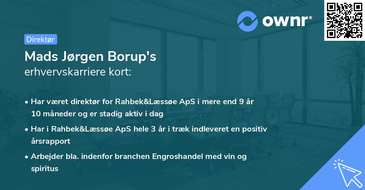 Mads Jørgen Borup's erhvervskarriere kort