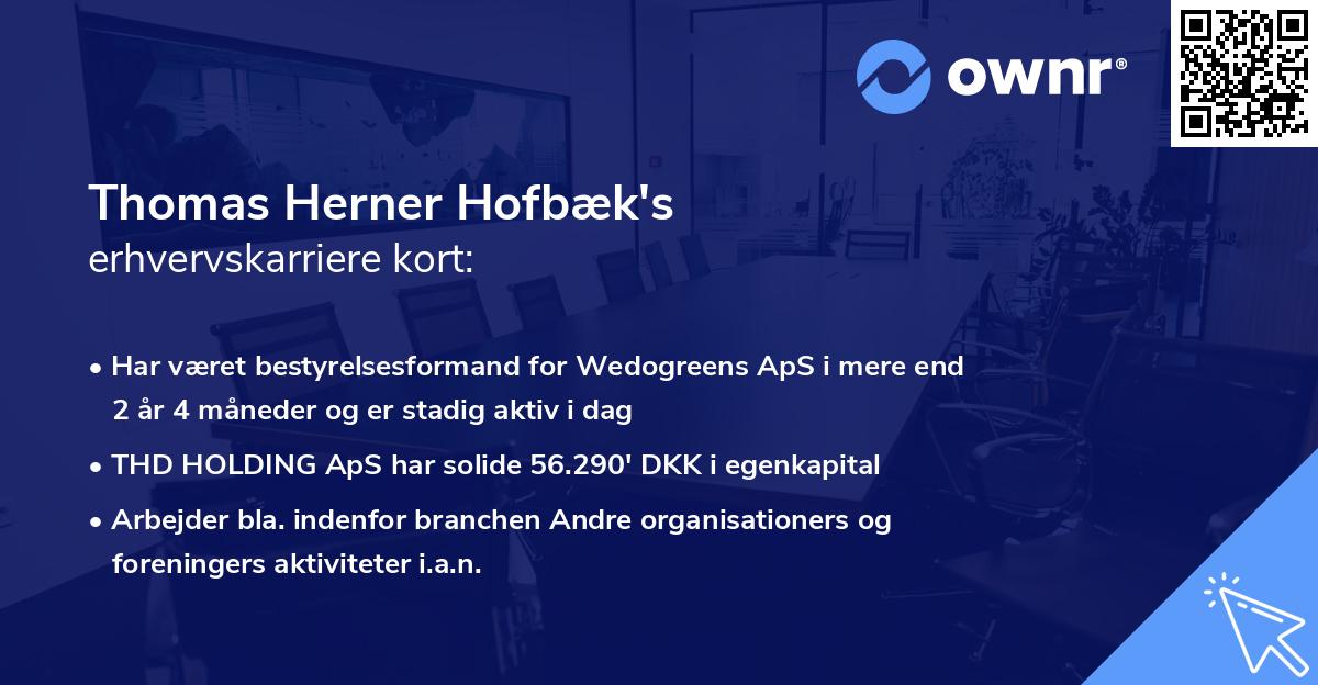Thomas Herner Hofbæk's erhvervskarriere kort