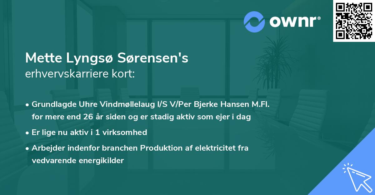 Mette Lyngsø Sørensen's erhvervskarriere kort
