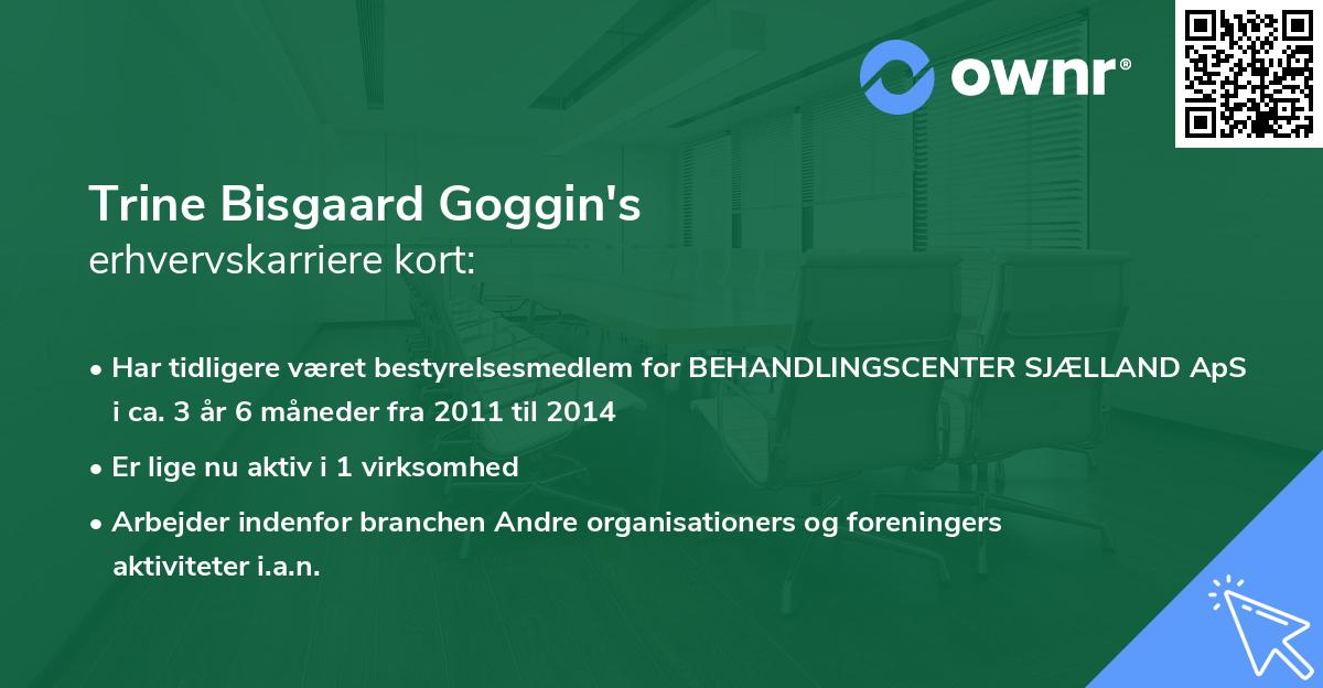 Trine Bisgaard Goggin's erhvervskarriere kort