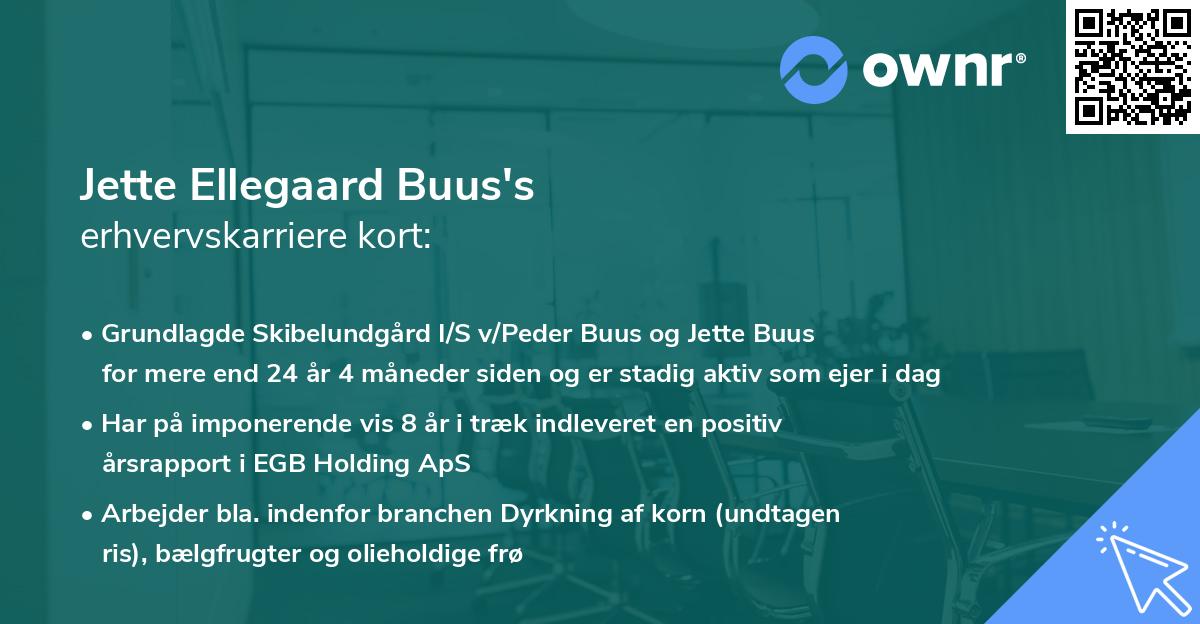 Jette Ellegaard Buus's erhvervskarriere kort
