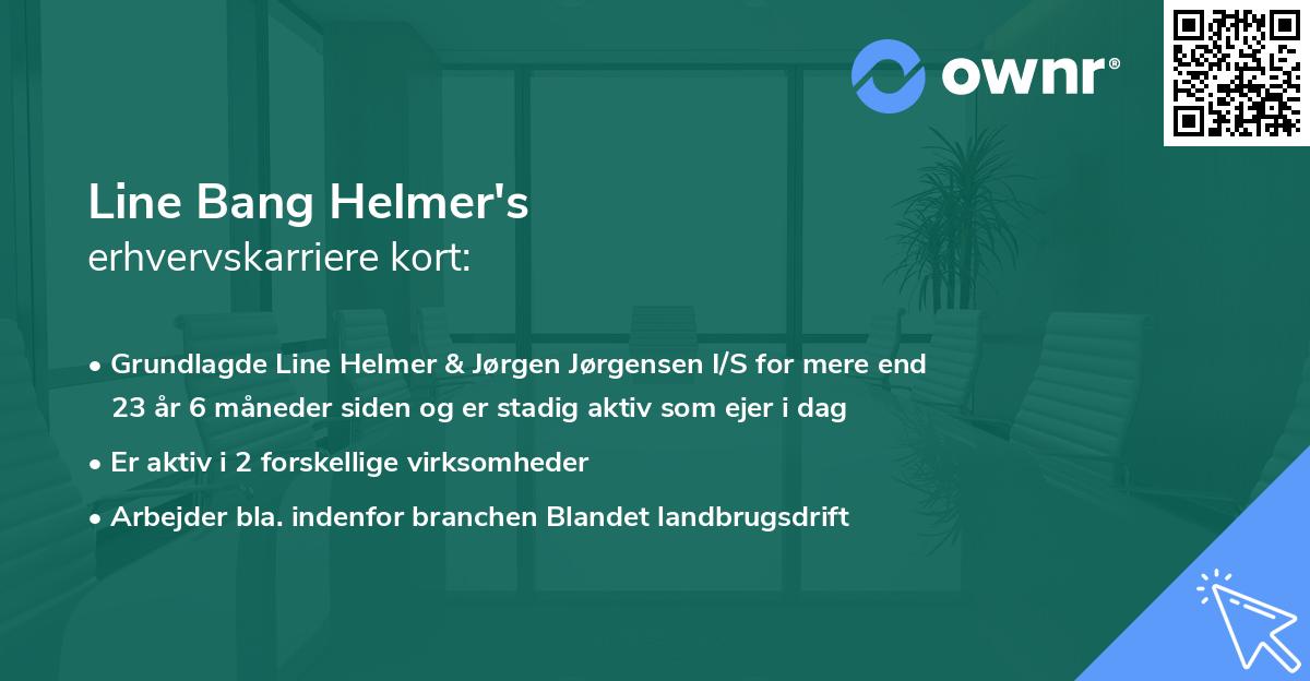 Line Bang Helmer's erhvervskarriere kort