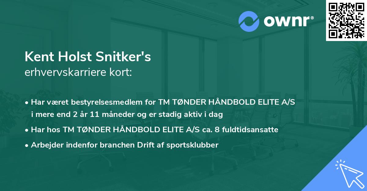 Kent Holst Snitker's erhvervskarriere kort