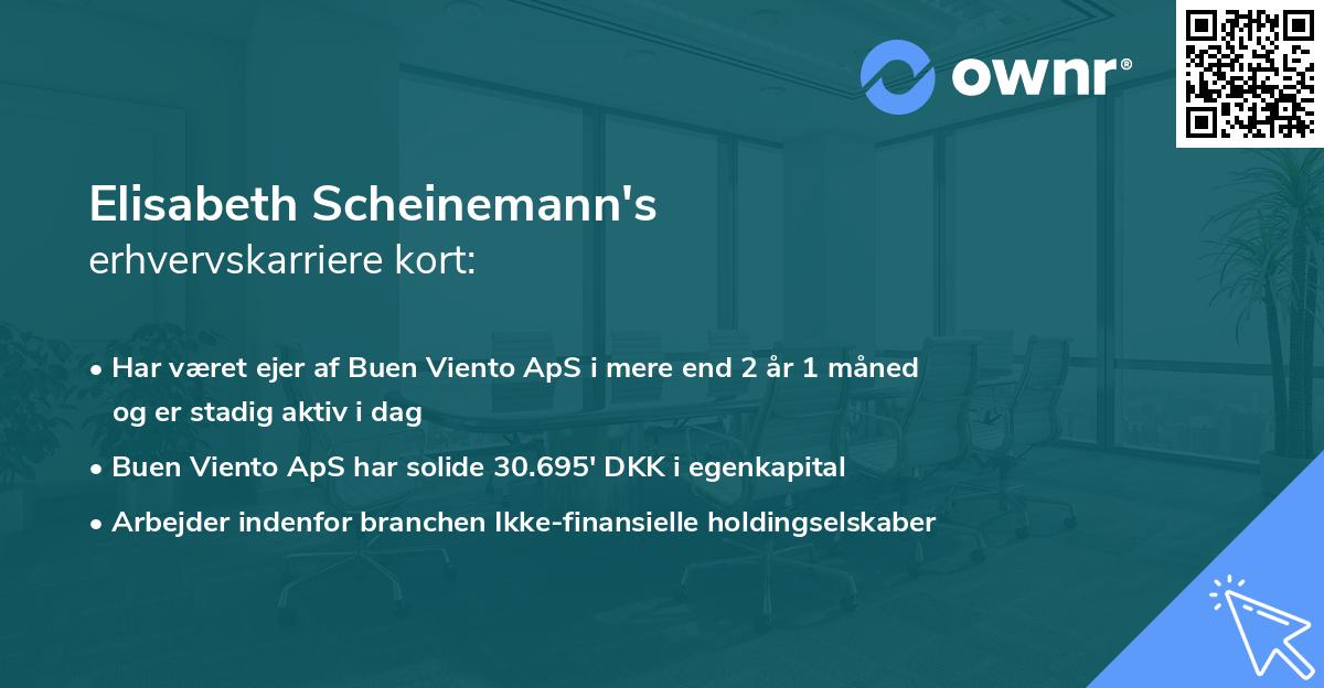 Elisabeth Scheinemann's erhvervskarriere kort